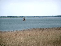 2009-05-20-ostsee-69 : Fischland, Fischland/Ostsee, MTB