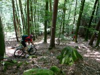 2009-05-11-nothweiler-113