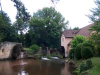 2009-05-11-nothweiler-65