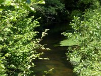 2009-05-12-nothweiler-22