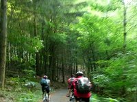 2009-05-12-nothweiler-340