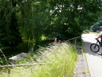 2009-05-12-nothweiler-64