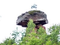 2009-05-12-nothweiler-90