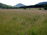 2009-05-13-nothweiler-137