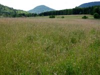 2009-05-13-nothweiler-139