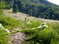 2009-05-13-nothweiler-192