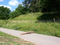 2009-05-13-nothweiler-29