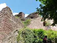 2009-05-13-nothweiler-42
