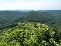 2009-05-14-nothweiler-29