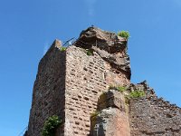 2009-05-14-nothweiler-43