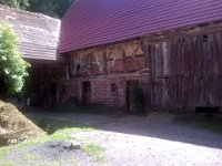 2010-06-05-grasellenbach-155 : MTB, Odenwald