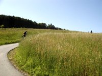 2010-06-03-06-grasellenbach-12 : MTB, Odenwald