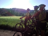 2010-06-03-06-grasellenbach-190 : MTB, Odenwald