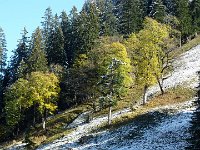 2011-10-23-Rappenalptal-23 : Allgäu, Allgäu Herbst 2011, MTB, Rappenalptal