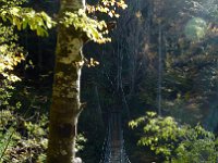 2011-10-17-rundumdenprodel-17 : Allgäu, Allgäu Herbst 2011, MTB, Rund um den Prodel
