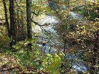 2011-10-17-rundumdenprodel-18 : Allgäu, Allgäu Herbst 2011, MTB, Rund um den Prodel