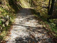 2011-10-17-rundumdenprodel-19 : Allgäu, Allgäu Herbst 2011, MTB, Rund um den Prodel