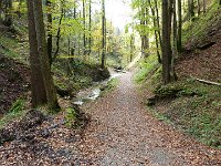 2011-10-17-rundumdenprodel-22 : Allgäu, Allgäu Herbst 2011, MTB, Rund um den Prodel