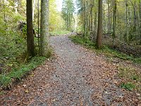 2011-10-17-rundumdenprodel-23 : Allgäu, Allgäu Herbst 2011, MTB, Rund um den Prodel