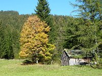 2011-10-17-rundumdenprodel-3 : Allgäu, Allgäu Herbst 2011, MTB, Rund um den Prodel