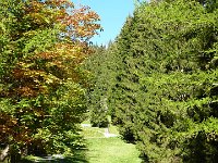 2011-10-17-rundumdenprodel-6 : Allgäu, Allgäu Herbst 2011, MTB, Rund um den Prodel