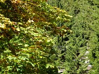 2011-10-17-rundumdenprodel-7 : Allgäu, Allgäu Herbst 2011, MTB, Rund um den Prodel