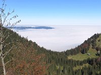 Herbst-OA-rundumdenprodel-14 : Allgäu, Allgäu Herbst 2012, MTB, Rund um den Prodel