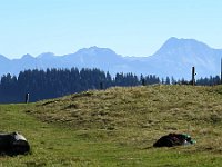 Herbst-OA-rundumdenprodel-15 : Allgäu, Allgäu Herbst 2012, MTB, Rund um den Prodel