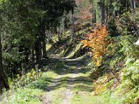 Herbst-OA-rundumdenprodel-17 : Allgäu, Allgäu Herbst 2012, MTB, Rund um den Prodel