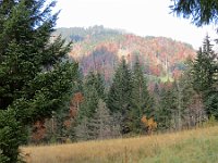 Herbst-OA-rundumdenprodel-21 : Allgäu, Allgäu Herbst 2012, MTB, Rund um den Prodel