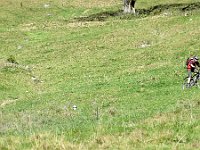 Herbst-OA-tonisrunde-4 : Allgäu, Allgäu Herbst 2012, Gemeinsame Tour mit Ottmar, MTB, Miriam und Werner im Allgäu, Tonis Runde