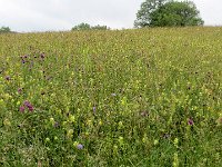 schwaebische-alb-20 : MTB, Stuttgart Schwäb-Alb