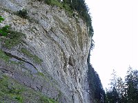 DSC03604
