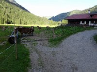 Alpe Melköde