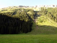 DSC03618
