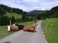 2011-Allgäu 01--10