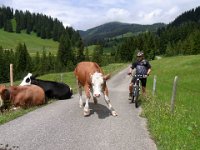 2011-Allgäu 01--12