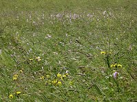 2011-Allgäu 02--7