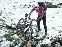 MTB137
