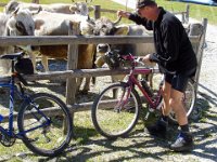 Die Kuh und der Helm : MTB, Transalp, Transalp 2003