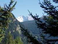 TA2003-01-91 : MTB, Transalp, Transalp 2003