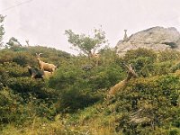 TA2003-02-60 : MTB, Transalp, Transalp 2003