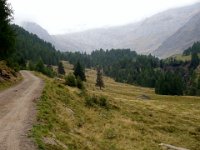 TA2003-04-81 : MTB, Transalp, Transalp 2003