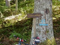 TA2003-07-161 : MTB, Transalp, Transalp 2003