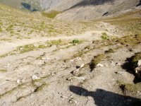 die Abfahrt vom Fimberpass : MTB, Transalp, Transalp 2004