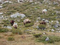 TA 2004-05-Tag-44 : MTB, Transalp, Transalp 2004