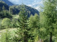 TA 2004-08-Tag-23 : MTB, Transalp, Transalp 2004
