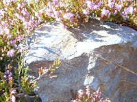 TA 2005-02-Tag-37 : MTB, Transalp, Transalp 2005