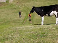 TA 2005-02-Tag-61 : MTB, Transalp, Transalp 2005