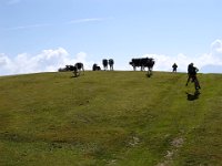 TA 2005-02-Tag-64 : MTB, Transalp, Transalp 2005